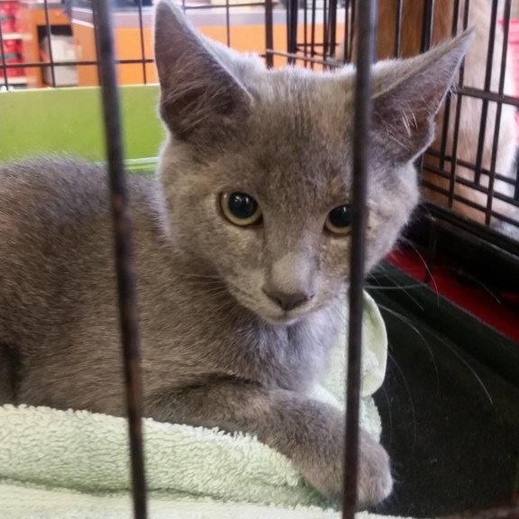 20507543_1123735751060853_2887184673917858823_o 20507543_1123735751060853_2887184673917858823_o