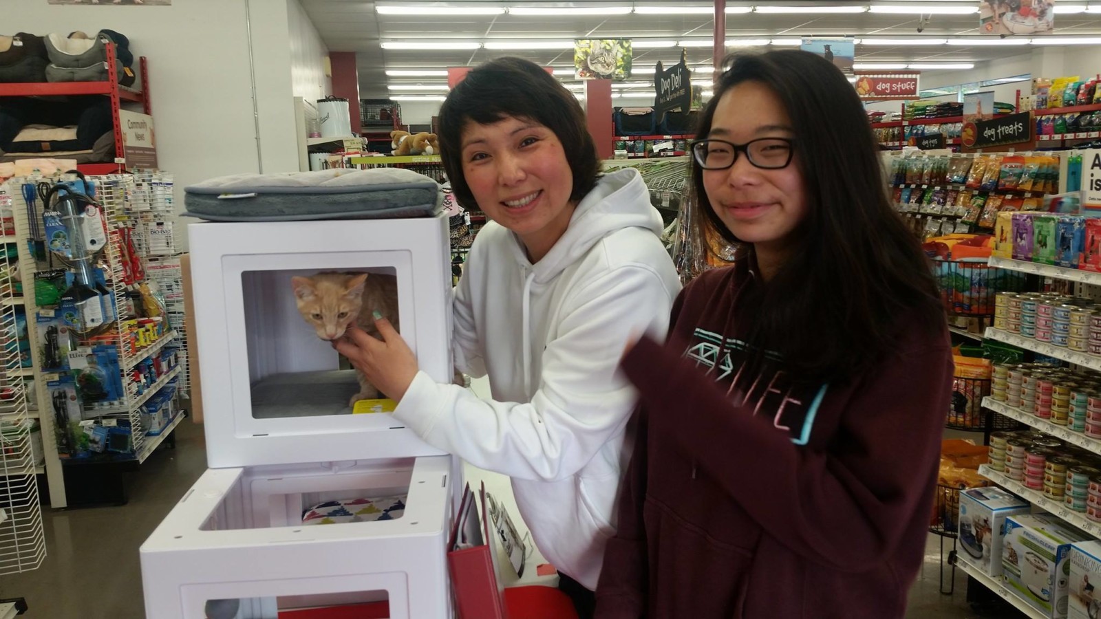 Spartacus on his way to his new home